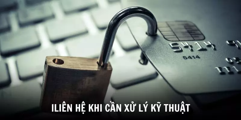 Liên hệ 23Win khi cần xử lý lỗi kỹ thuật